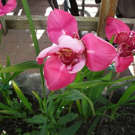 아파트 Kleine 바르트